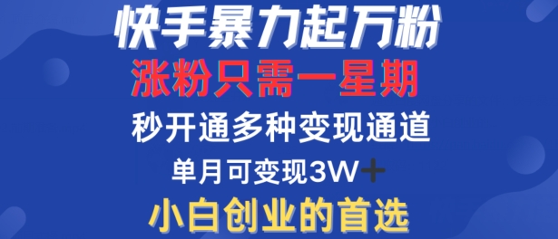 快手暴力起万粉，涨粉只需一星期，多种变现模式，直接秒开万合，单月变现过W【揭秘】-搞钱利器