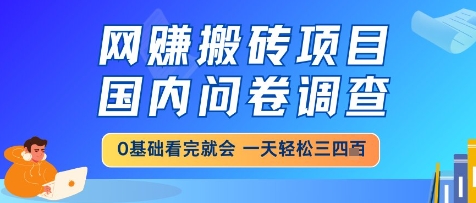 网创搬砖项目，国内问卷调查，小白轻松上手，一天三四张的也不难，干就完了【揭秘】-搞钱利器
