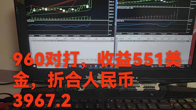 图片[1]-稳定8年的美刀搬砖项目，单人每日收益800—3000.团队4人月入10W+.可线下-搞钱利器