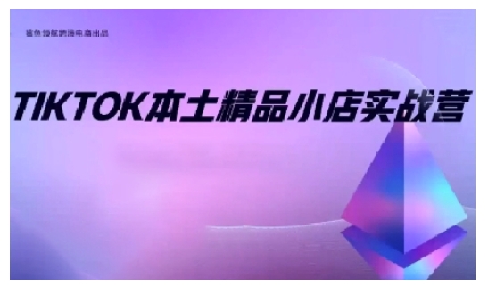 TikTok本土精品小店出海实战营，从入门到高阶，不止0-1!-搞钱利器