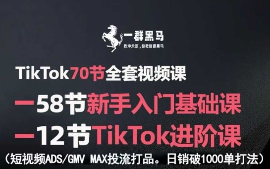 TikTok全套视频课，新手入门+进阶课，短视频ADS-GMV MAX投流打品，日销破1000单打法-搞钱利器