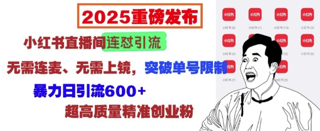 2025重磅发布：小红书直播间连怼引流，无需连麦、无需上镜，突破单号限制，暴力日引流600+-搞钱利器