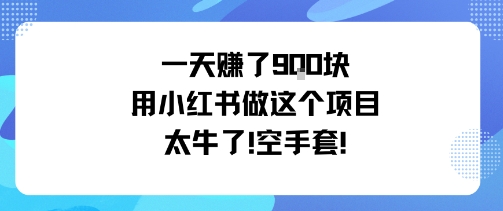 一天挣了9张用小红书做这个项目太牛了，空手套-搞钱利器