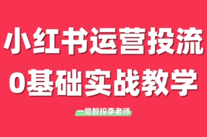 李老师·小红书运营投流，0基础实战教学(更新)-搞钱利器