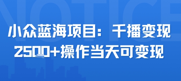 小众蓝海项目，千播变现2.5k+操作当天可变现-搞钱利器