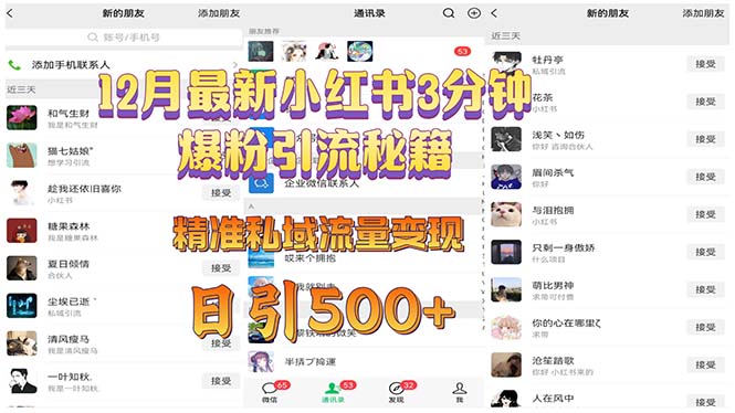 12月最新小红书3分钟爆粉引流秘籍 精准私域流量变现 日引500+-搞钱利器