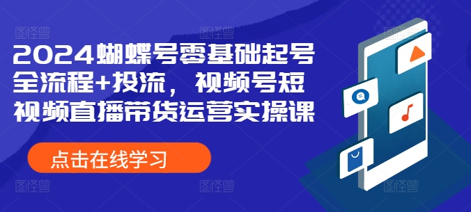 2024蝴蝶号零基础起号全流程+投流，视频号短视频直播带货运营实操课-搞钱利器