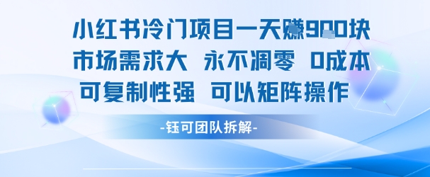 小红书冷门项目一天收益9张，市场需求大，0成本，可复制性强可以矩阵操作-搞钱利器