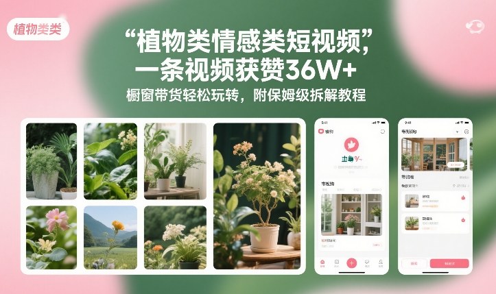 植物类情感类短视频，一条视频获赞36W+，橱窗带货轻松玩转，附保姆级拆解教程-搞钱利器