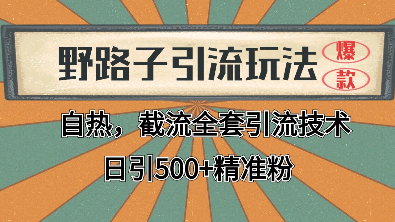 抖音小红书视频号全平台引流打法，全自动引流日引2000+精准客户-搞钱利器