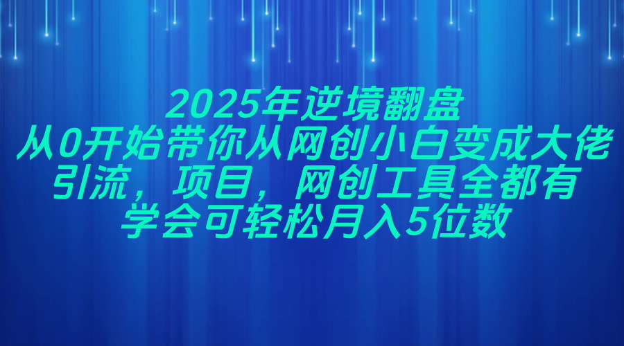 2025年逆境翻盘，从0开始带你从网创小白变成大佬，引流，项目，网创工…-搞钱利器
