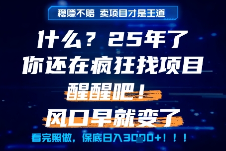 什么？25年你还在疯狂找项目做，醒醒吧，看完这些你全都懂了！【揭秘】-搞钱利器