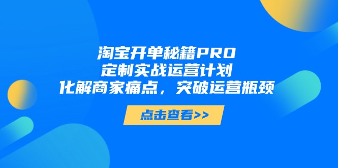 淘宝开单秘籍PRO，定制实战运营计划，化解商家痛点，突破运营瓶颈-搞钱利器