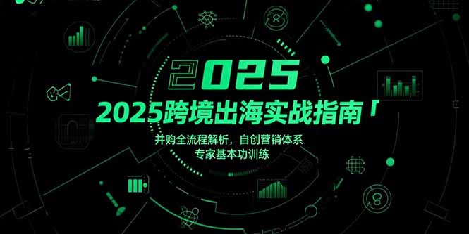 2025跨境出海实战指南，并购全流程解析，自创营销体系，专家基本功训练-搞钱利器