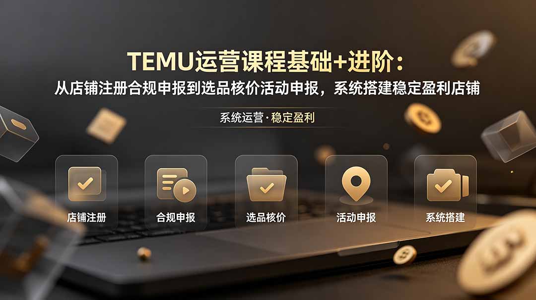 TEMU运营课程(基础+进阶-搞钱利器