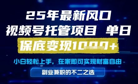 25年最新风口，视频号托管项目，单日保底变现1k+，手把手教学【揭秘】-搞钱利器