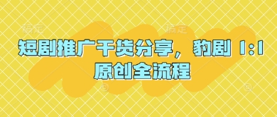 短剧推广干货分享，豹剧 1:1原创全流程-搞钱利器