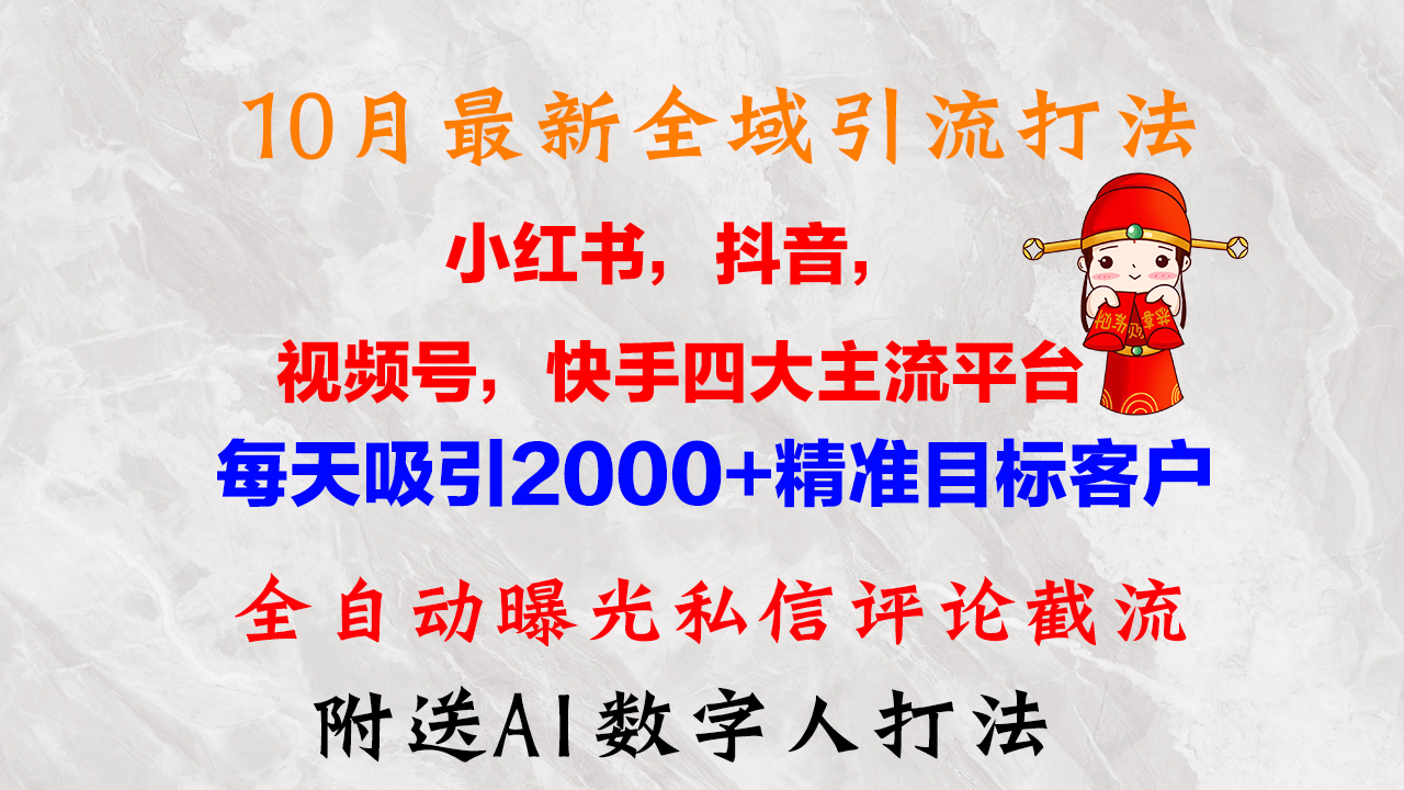 10月最新小红书，抖音，视频号，快手四大平台全域引流，，每天吸引2000…-搞钱利器