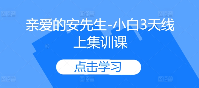 亲爱的安先生-小白3天线上集训课-搞钱利器