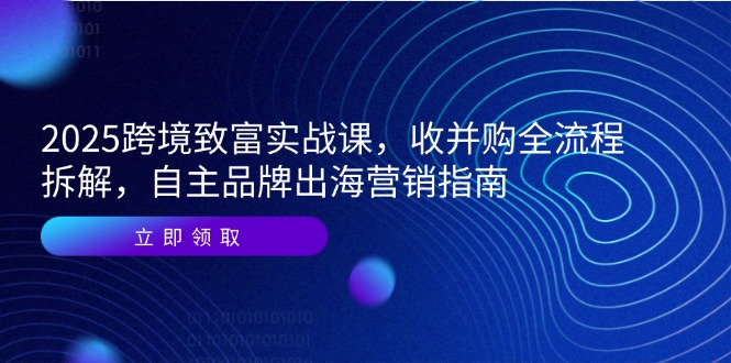 2025跨境致富实战课，收并购全流程拆解，自主品牌出海营销指南-搞钱利器