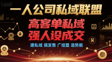 一人公司私域联盟，高客单私域，强人设成交，建私域 搞发售 广结盟 造势能-搞钱利器