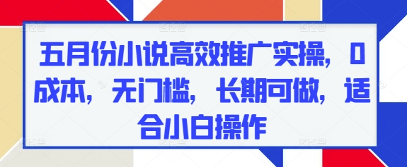 五月份小说高效推广实操，0成本，无门槛，长期可做，适合小白操作-搞钱利器