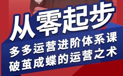 拼多多运营进阶系统课，从零起步，多多运营进阶体系课，破茧成蝶的运营之术(更新9月)-搞钱利器