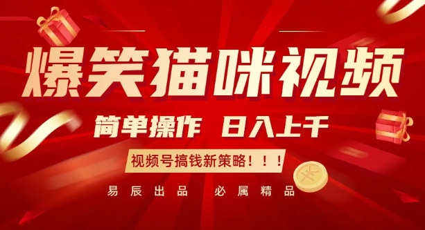 爆笑猫咪视频：简单操作，日入过K，视频号搞钱新策略【揭秘】-搞钱利器