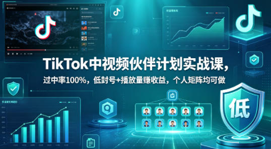 TikTok中视频伙伴计划实战课，过中率100%，低封号+播放量賺收益，个人矩阵均可做-搞钱利器