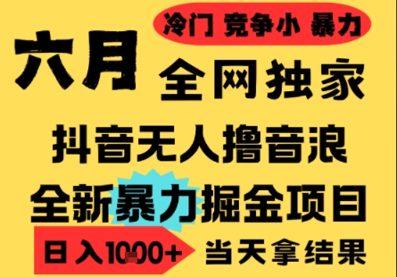 25年6月高爆抖音无人直播最新撸音浪掘金项目，小白可做，无脑日入1k+，门槛低可批量矩阵【揭秘】-搞钱利器