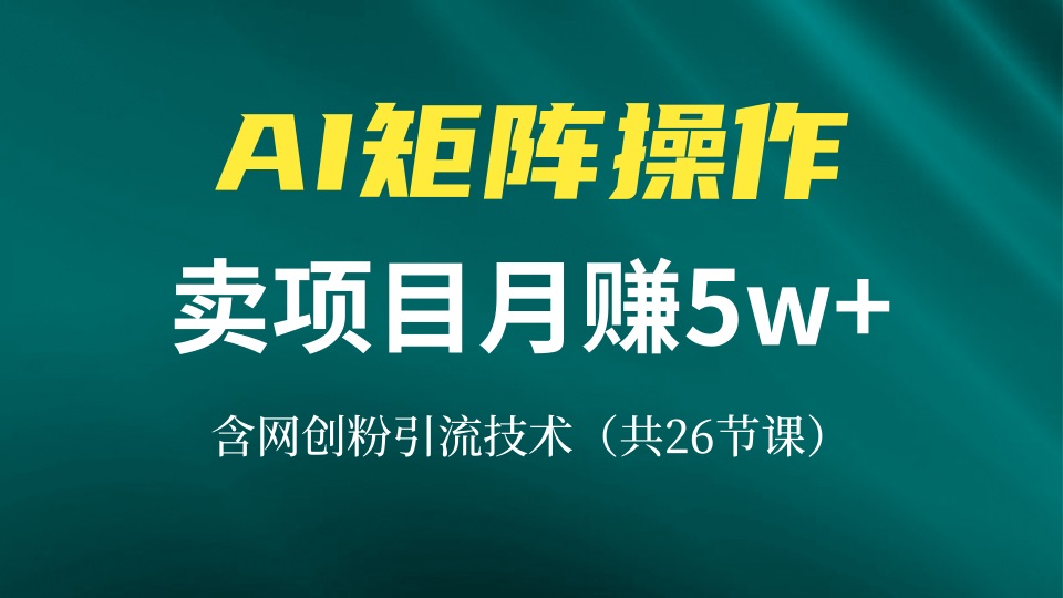 网创IP打造课，借助AI卖项目月赚5万+，含引流技术(共26节课-搞钱利器
