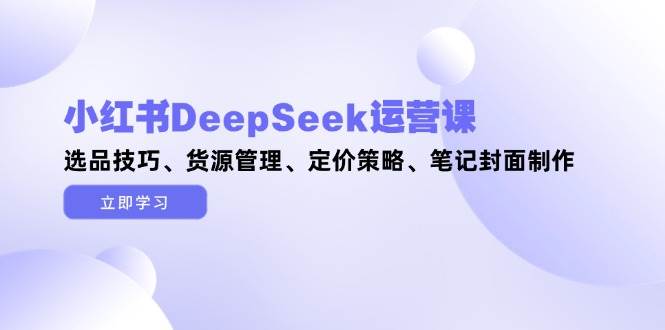 小红书DeepSeek运营课，选品技巧、货源管理、定价策略、笔记封面制作-搞钱利器