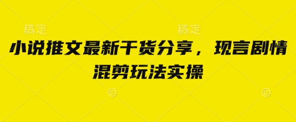 小说推文最新干货分享，现言剧情混剪玩法实操-搞钱利器