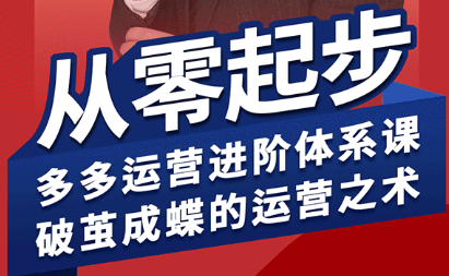 海神·拼多多运营进阶系统课(更新9月)-搞钱利器