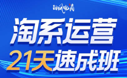 白凤电商·淘系运营21天速成班(更新8月)-搞钱利器