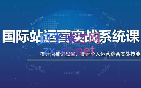 白老师·国际站运营实战系统(高质量询盘增长课)(更新)-搞钱利器