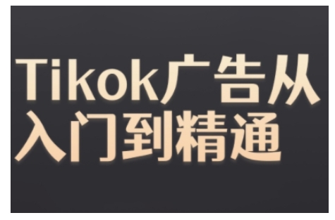Tiktok Ads实操教程，Tiktok广告从入门到精通-搞钱利器