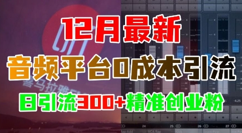 12月最新：音频平台0成本引流，日引流300+精准创业粉-搞钱利器