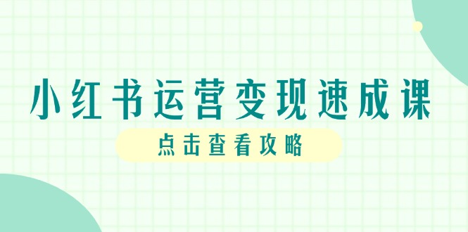 小红书运营变现速成课，账号搭建到暴力起号，个人IP全流程指南-搞钱利器