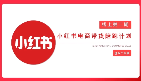 2025小红书虚拟电商实战课，从0到1打造无货源店铺，AI+爆款笔记轻松变现-搞钱利器