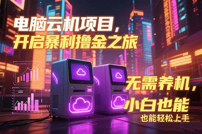 电脑云机项目 暴力撸金玩法，不需要养机 配置没有要求 单机100个窗口一…-搞钱利器