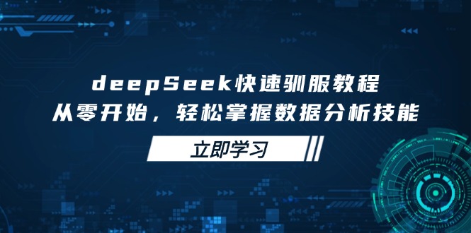 deepSeek快速驯服教程，从零开始，轻松掌握数据分析技能-搞钱利器