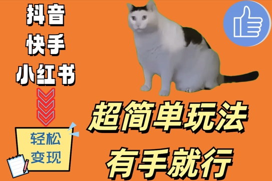 超简单玩法，有手就行，靠猫咪视频日入500+【揭秘】-搞钱利器
