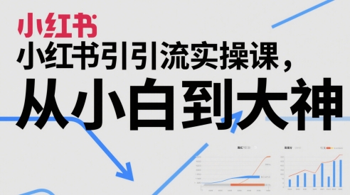 小红书引流实操课，从小白到大神-搞钱利器