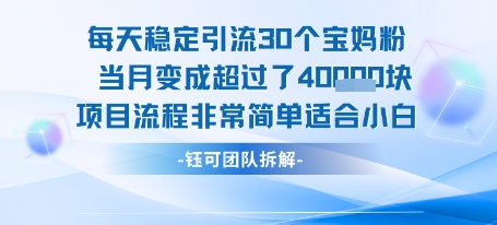 每天稳定引流30个人 当月变成超过了4个W项目流程非常简单适合小白-搞钱利器