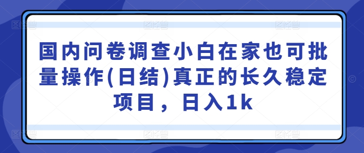 国内问卷调查小白在家也可批量操作(日结)真正的长久稳定项目，日入1k【揭秘】-搞钱利器