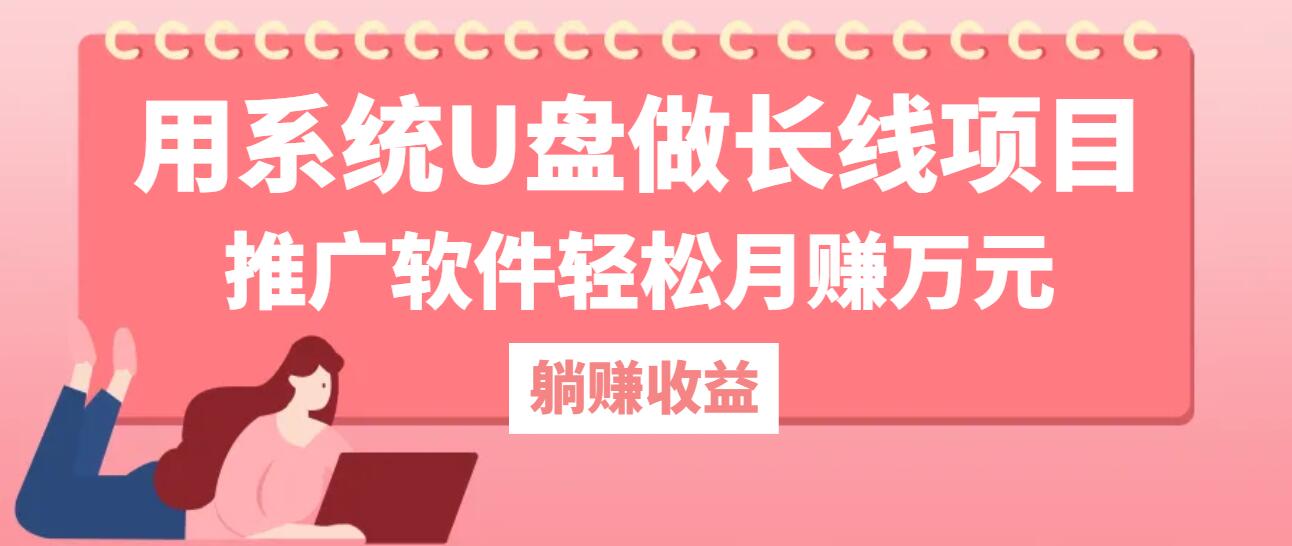 用系统U盘做长线项目，推广软件轻松月赚万元-搞钱利器