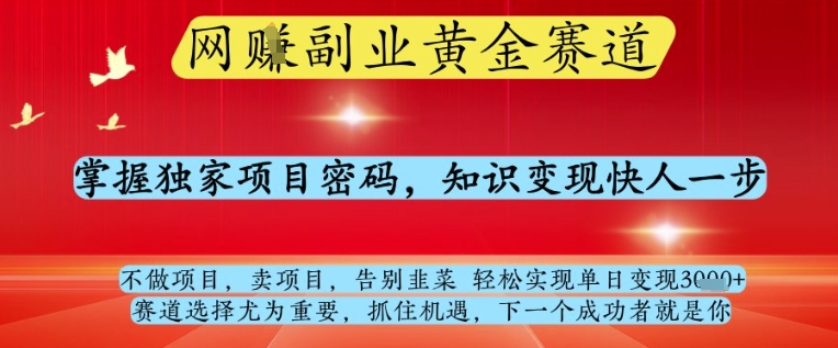 网创副业黄全赛道，掌握独家项目密码，知识变现快人一步，告别韭菜轻松实现单日变现1k+【揭秘】-搞钱利器