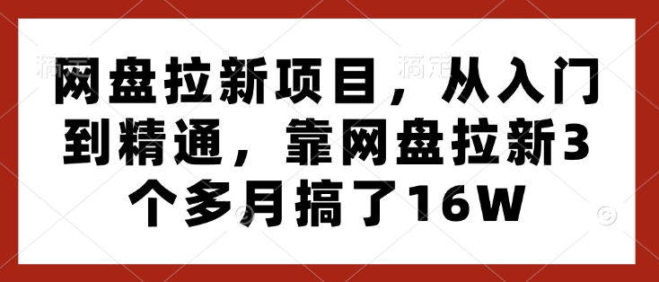 网盘拉新项目，从入门到精通，靠网盘拉新3个多月搞了16W-搞钱利器