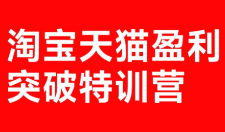 玺承·淘宝天猫盈利突破特训营(25年12月线下课)【音频+字幕】-搞钱利器